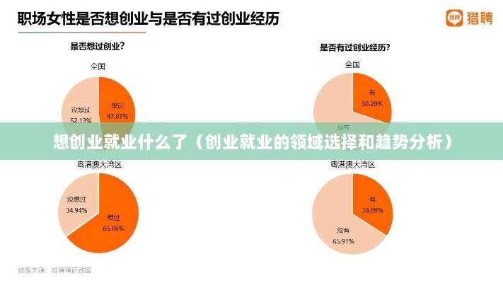 想创业就业什么了（创业就业的领域选择和趋势分析）