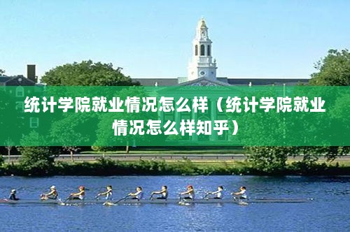 统计学院就业情况怎么样（统计学院就业情况怎么样知乎）